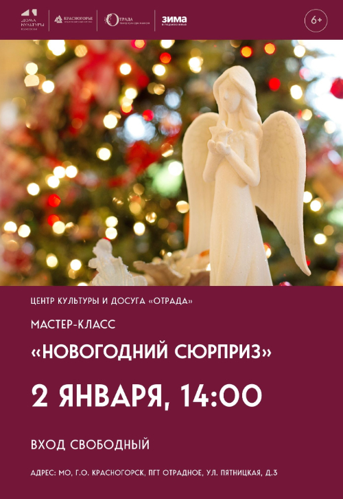 «Новогодний сюрприз»