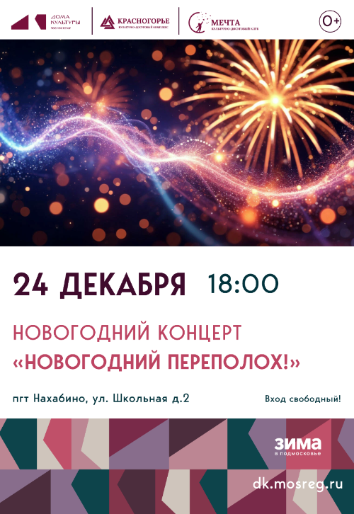 Новогодний концерт «Новогодний переполох!».