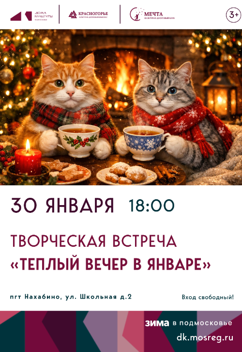Творческая встреча «Теплый вечер в январе»